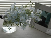 ʹ��������������á��عⲹ�����ķ������㾫����Ƭ